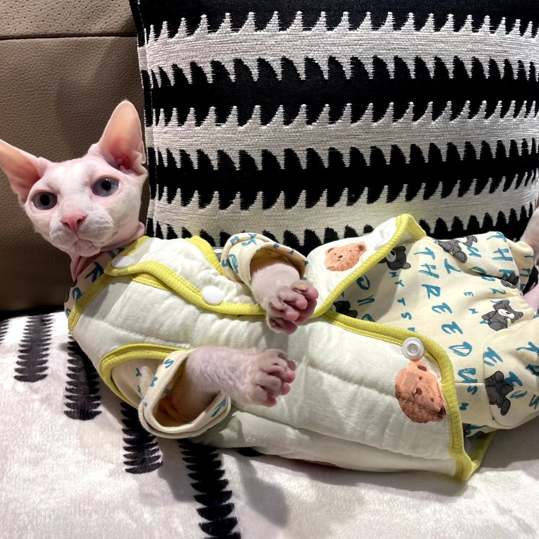 Sphynx cat用の厚いコットンジャケット,暖かい冬のコ - Yellow Winter Clothing のレビューと価格