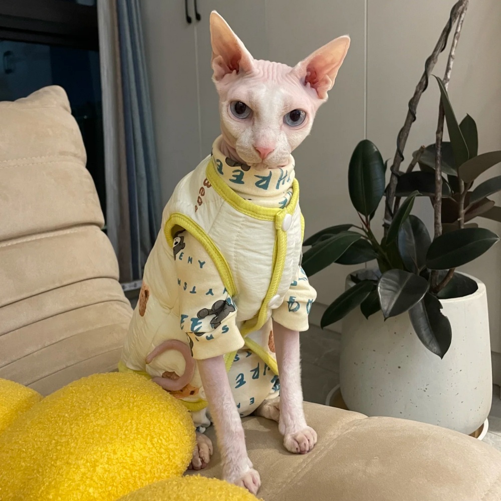 Sphynx cat用の厚いコットンジャケット,暖かい冬のコ - Yellow Winter Clothing のレビューと価格